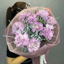 Мороз и цвет