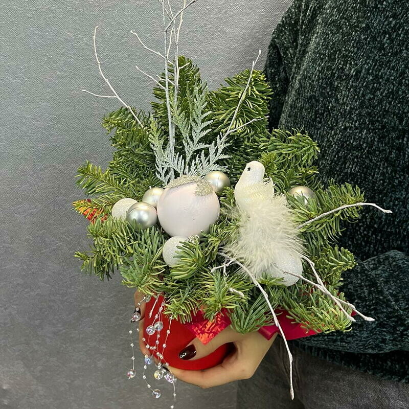 Snezhnij golub_, standart