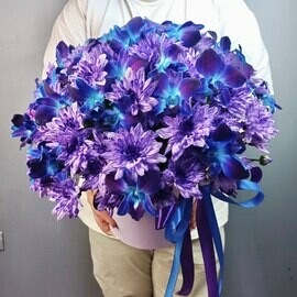 Звездочка моя в шляпной коробке XL