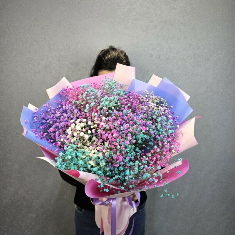 Радужное пони, стандартный