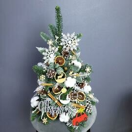 Elochka novogodnyaya iz detstva Elka iz nobilisa