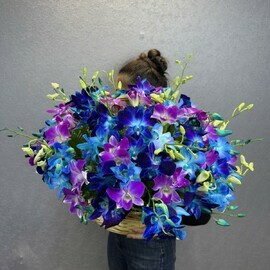 Фейерверк чувств 