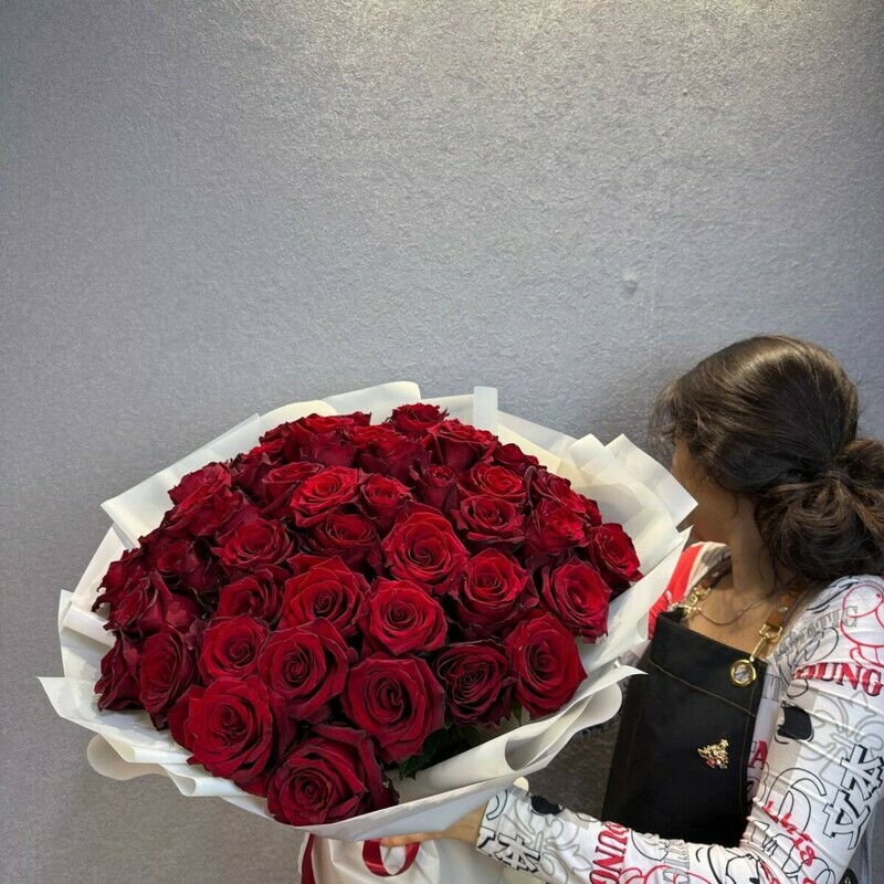 Mono iz 51 bordovoj rozi, standart