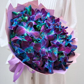 Ultramarine Orchids