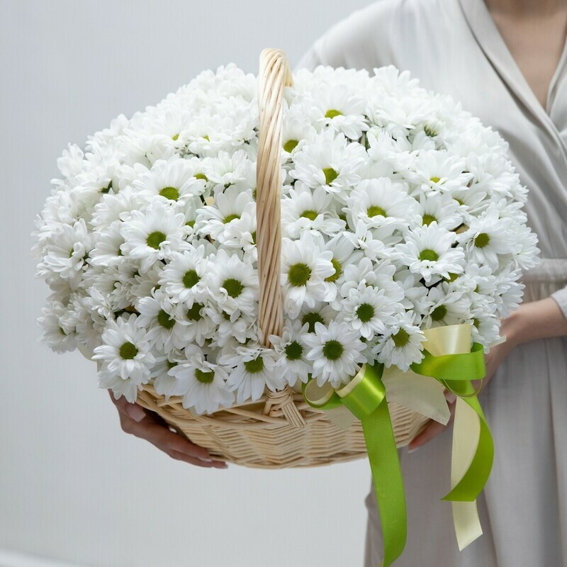 Ocharovatel_naya Korzina Hrizantem, standart