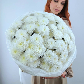 Монобукет Облако из 11 белых хризантем