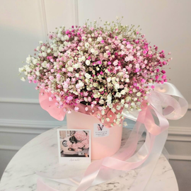 Kompozitciya Rozovoe oblachko