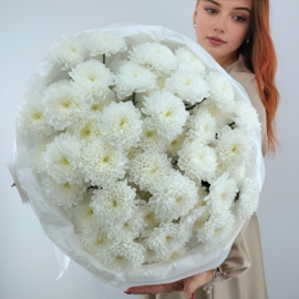 Monobuket Oblako iz 11 belih hrizantem