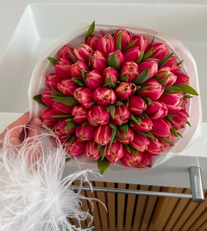 Nezhnij tyul_pan, 51 tyul_pan pionovidnij tyul_pan