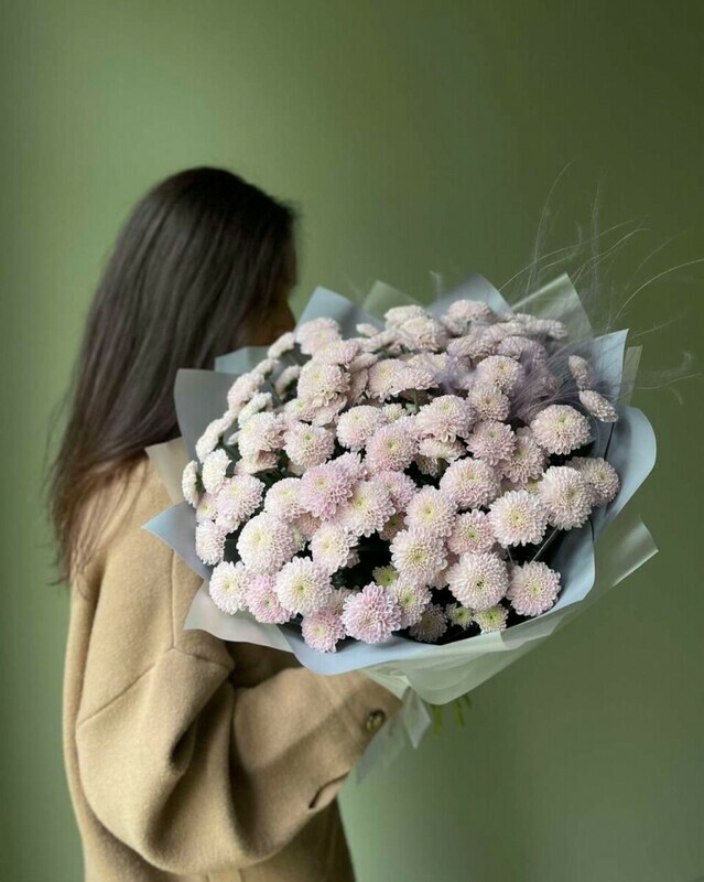 Nezhnaya hrizantema, standart