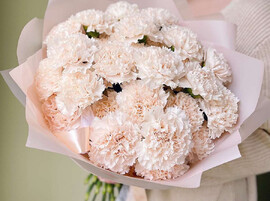 Нежный диантус