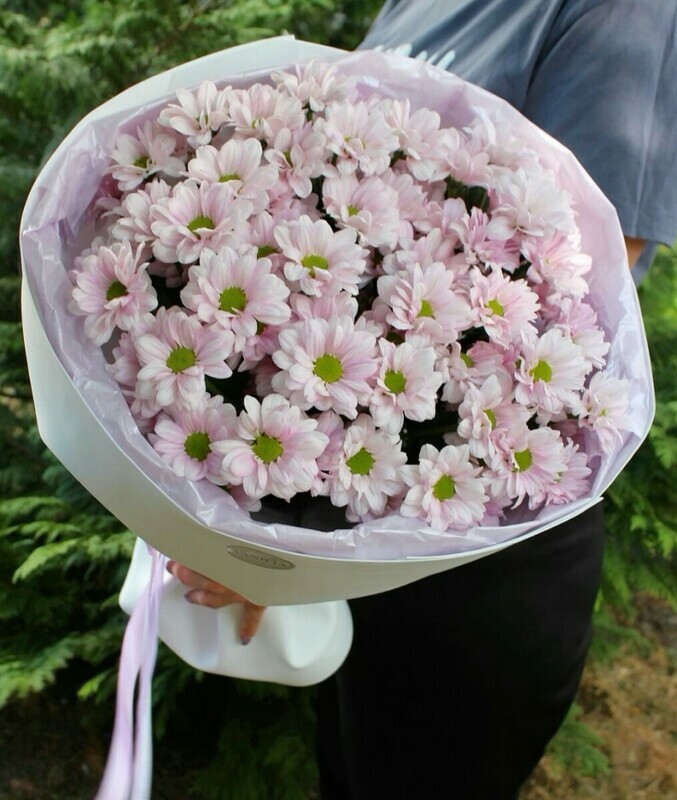 Nezhnie romashkovie, romashkovie