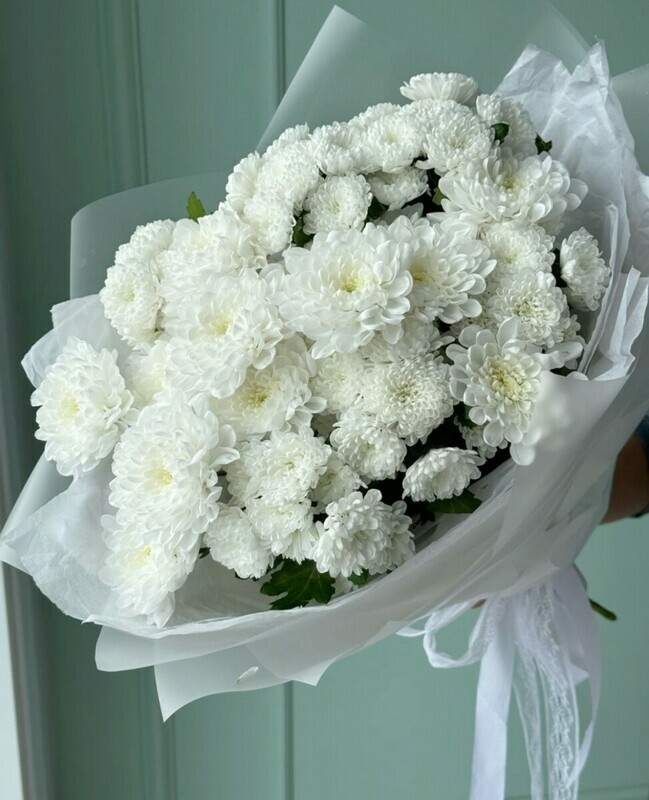 Снежный, премиум