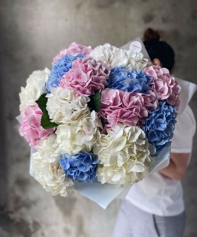 Микс из гидрангий, премиум