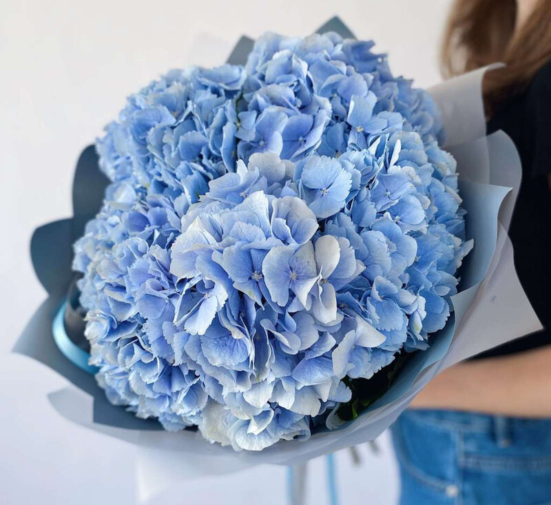 Небесный, стандартный