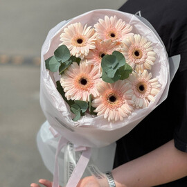 buket iz 7 gerber s evkaliptom