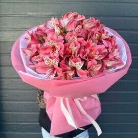 Стойкий букет яркой розовой альстромерии в монобукете 