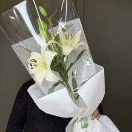 Белая Лилия "Лашка" 