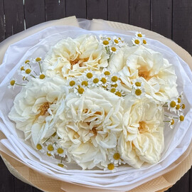 Монобукет из сливочных белых роз с матрикарией