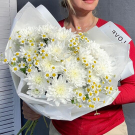 Hrizantemi i romashki