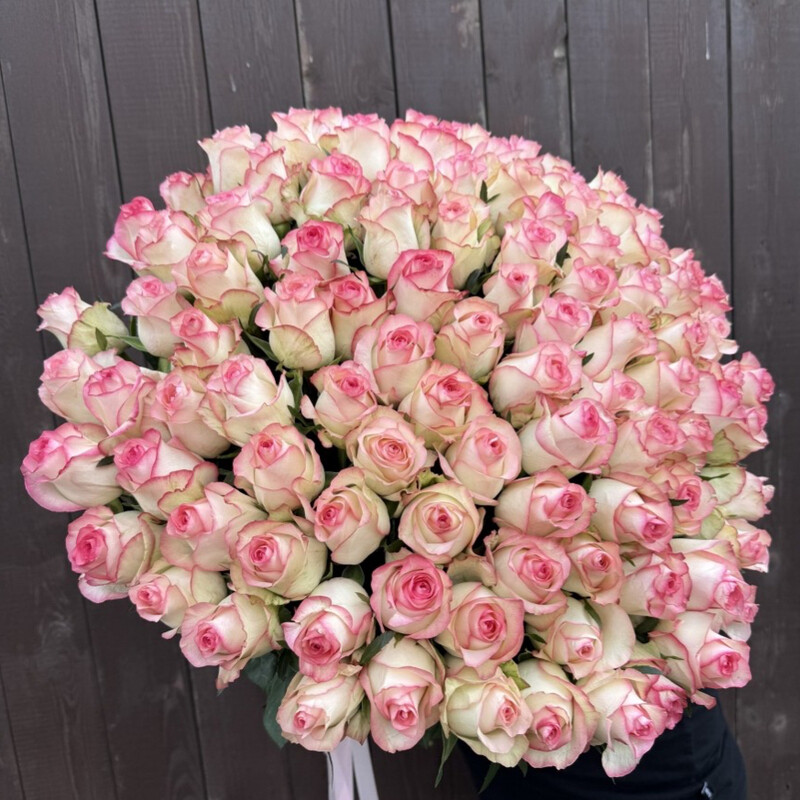 Хит продаж 101 роза "Джумилия" 60 см Импорт, хит продаж 101 роза "джумилия" 60 см импорт