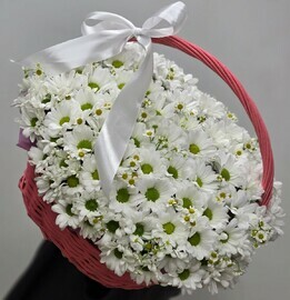 Шикарная корзина из ромашек