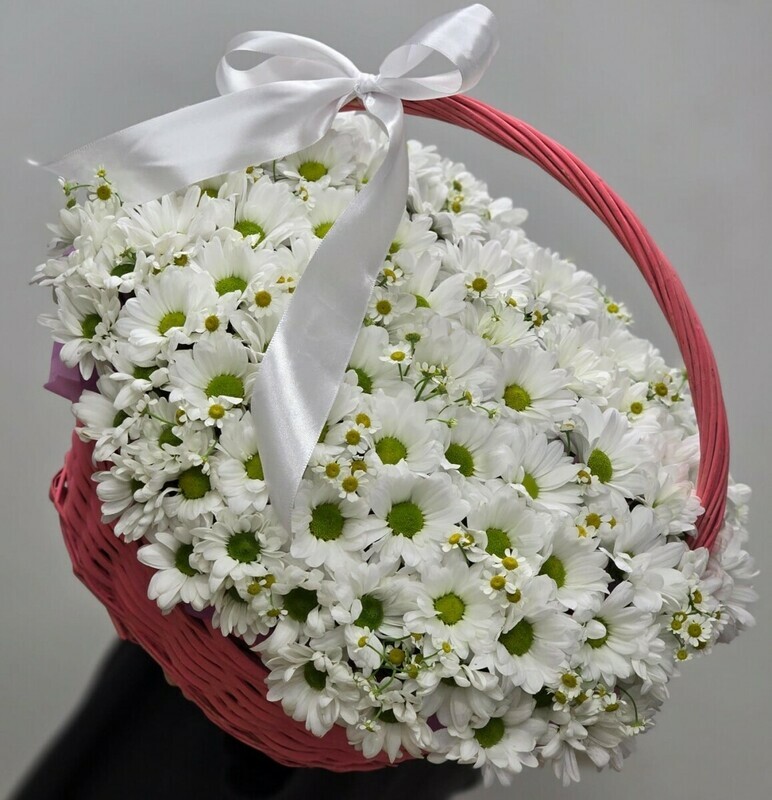 SHikarnaya korzina iz romashek, standart