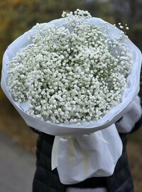 Букет прекрасных гипсофил