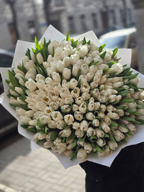 201 тюльпан в оформлении 