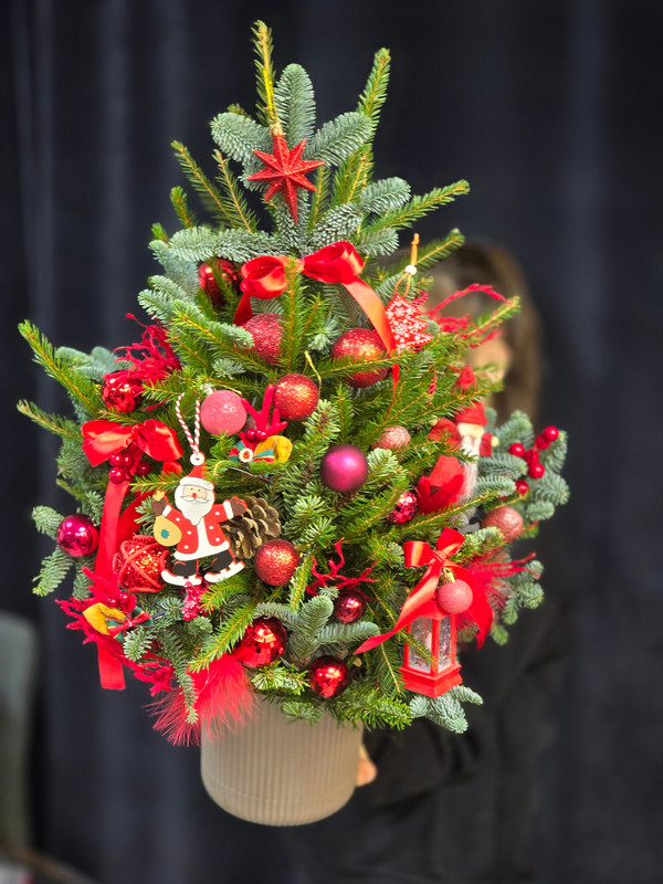 ZHivaya yolochka, standart