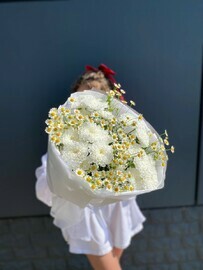 "Бұлт"Ромашка мен хризантема букеті