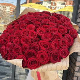 65 visokih premium roz