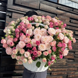 Korzina kustovih roz