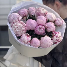15 нежных пионов 