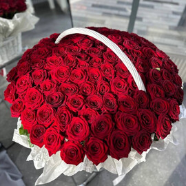 Корзина из 101 премиальной розы 