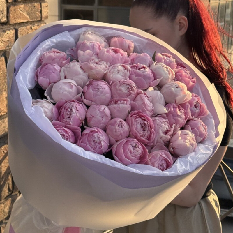 35 ital_yanskih premium pionov, premium
