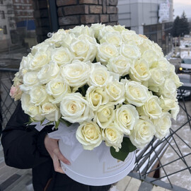 101 belaya Roza v korobke