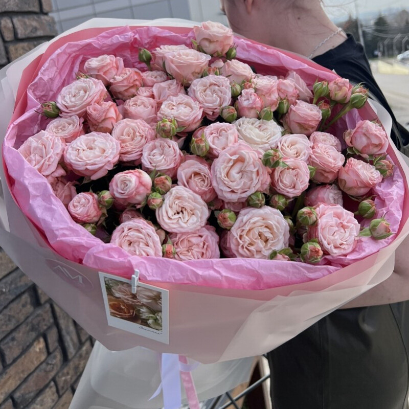 Пионовидная кустовая Роза , стандартный