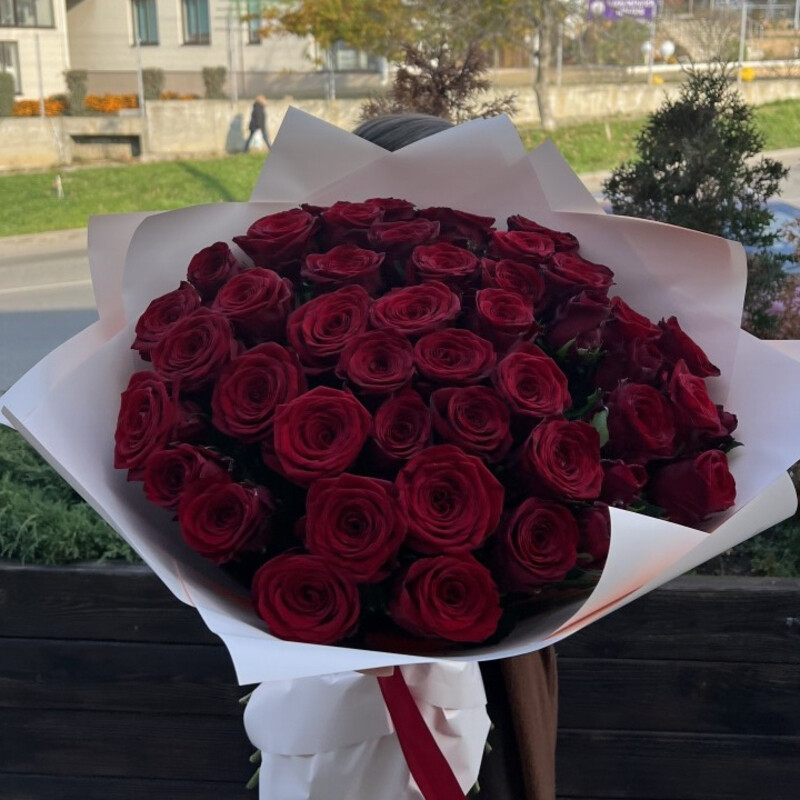 51 visokaya  krasnaya Roza, premium