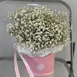 Vozdushnaya kompozitciya iz gipsofili