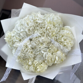 Букет из белоснежной гортензии