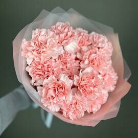 Nezhnij buket rozovie diantusi