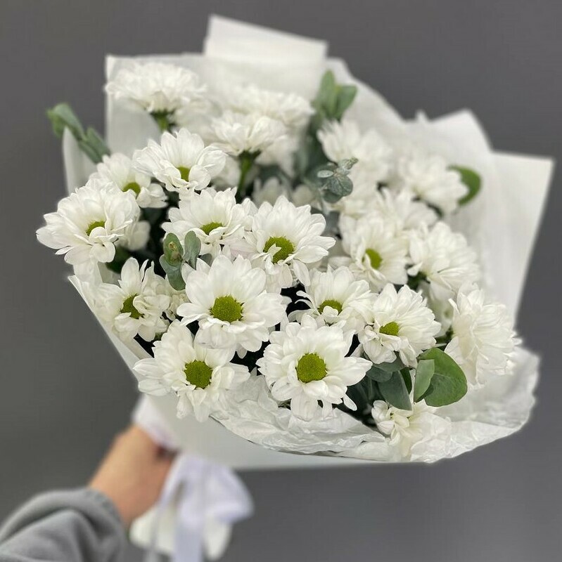 Белоснежная романтика, букет из 5 ромашковых хризантем с эвкалиптом