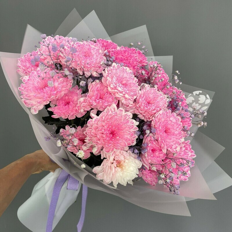 Rozovie mechti, standart