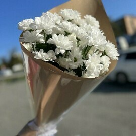 Ромашки в крафте