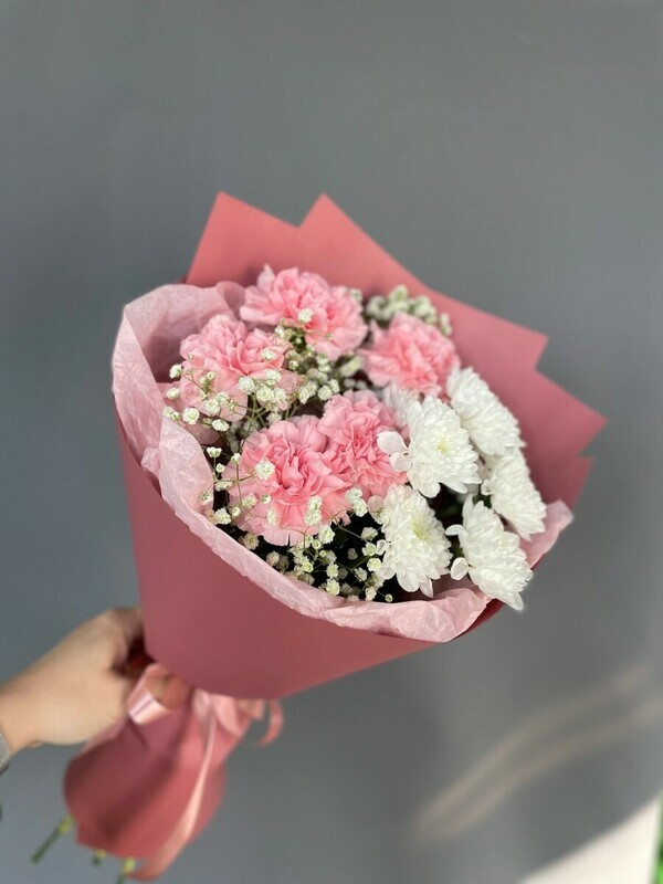 Kompliment №5, standart