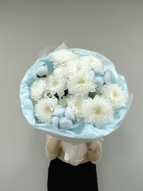 Кустовая хризантема с голубым хлопком