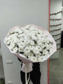 25 belih kustovih hrizantem v bukete