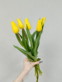 5 тюльпанов под ленту