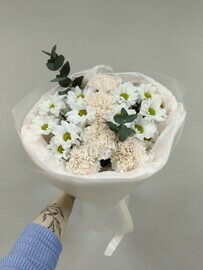 Diantusi s kustovoj romashkovidnoj hrizantemoj